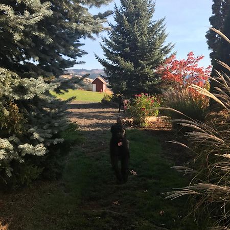 Husum Highlands Bed And Breakfast Eksteriør bilde