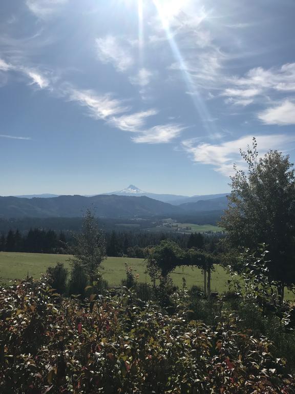 Husum Highlands Bed And Breakfast Eksteriør bilde