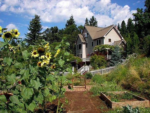 Husum Highlands Bed And Breakfast Eksteriør bilde